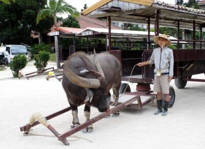 ゆる～い時間を楽しむ