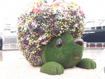 お花が沢山植えられています。