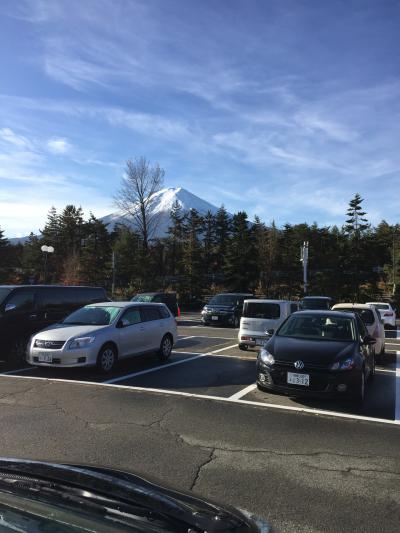 富士山が綺麗