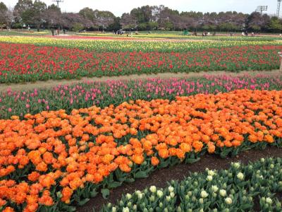 季節の花が楽しめます