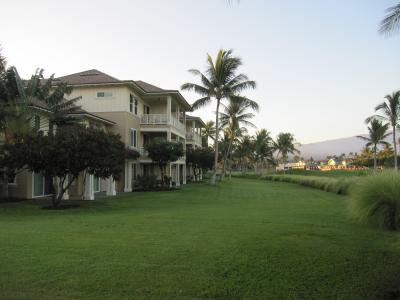 広々としています