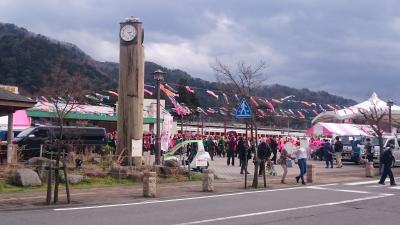 桜祭り開催