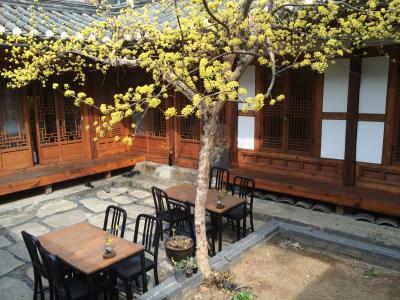 内庭の様子です