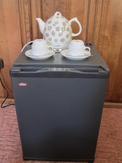 ミニ冷蔵庫の上には陶製の電気ポットが