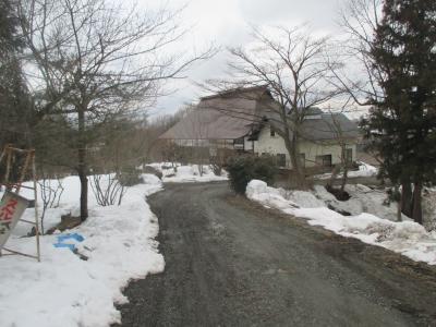 大きな古民家で、縁側からは日本庭園が見える落ち着いたそば処です