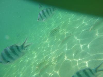 家族連れで楽しめる