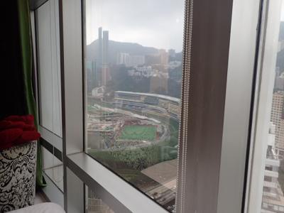 ハッピーバレー競馬場が見えています