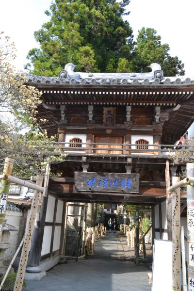 静寂のうちに平家の無念