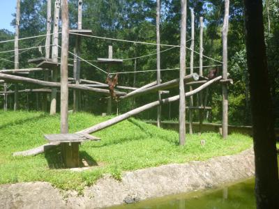 家族でのんびりできる動物園