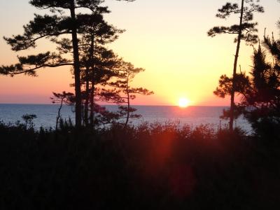 シティホテルのようにキレイです