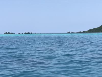 船長さんが気さくでまったりと海底と海を楽しめます