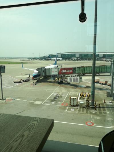 WIFI使えますよ～～～