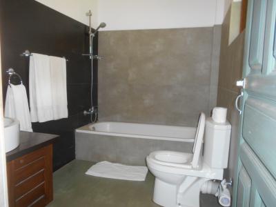 シャワーの勢いもばっちりです。もちろんちゃんとお湯も出ます