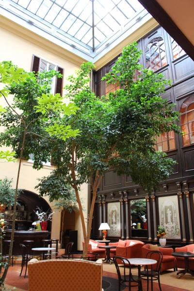 中庭素敵でした