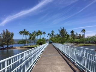 ココナッツアイランドへの橋