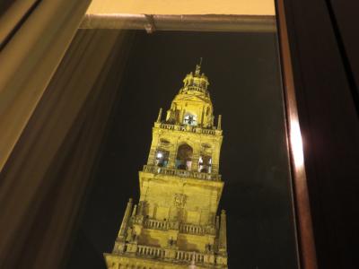   夜、部屋の窓から。大きすぎて入りきりません。