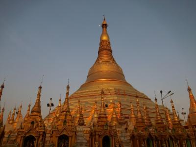 朝と夜の二回訪問をオススメ致します。