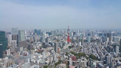 展望台では期間限定展覧会も