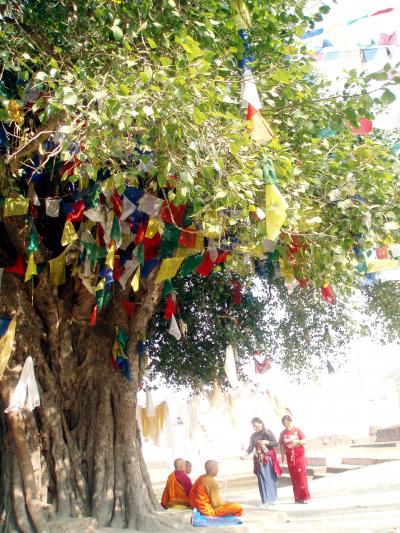 ゆるーいお寺のテーマパーク