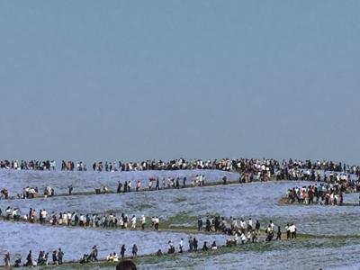 ネモフィラの丘・・・人が多すぎ・・・