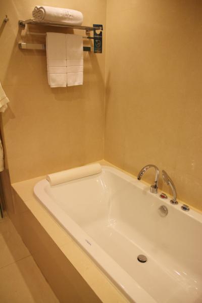 大きめのバスタブ。湯量もあり、あまり待たずに溜まります。