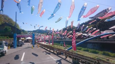 圧巻のこいのぼり群