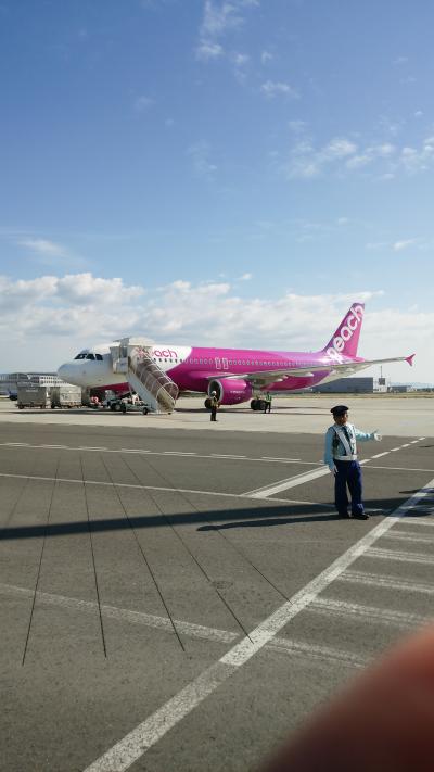 今回もお気に入りのピーチで