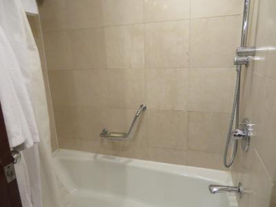 バスとシャワー一体型、シャワーは可動式。