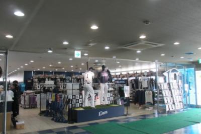 調子が下り坂46@埼玉西武ライオンズ