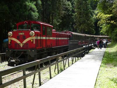 数年前の台風の被害復旧の目処がたたず、嘉義発の列車は奮起湖までしか行かない。