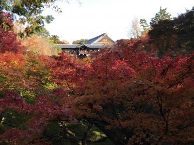 紅葉が素晴らしい