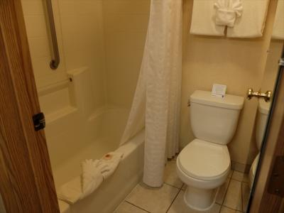 浴室はちょっと余裕のないサイズ。