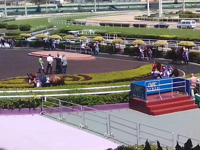 レース自体のレベルは高くないかな