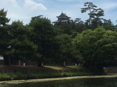 船から美しい松江城や風景が見られます。