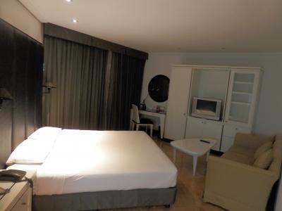 部屋は広いしソファーもある