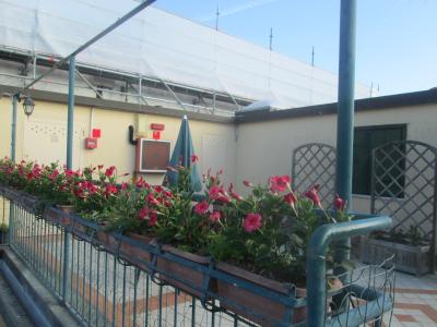 屋上からの眺望