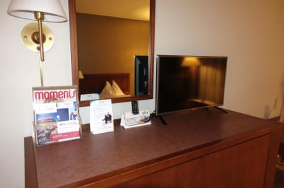 テレビは小さいですが問題ないです