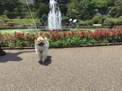 ちょっと高いかな。。