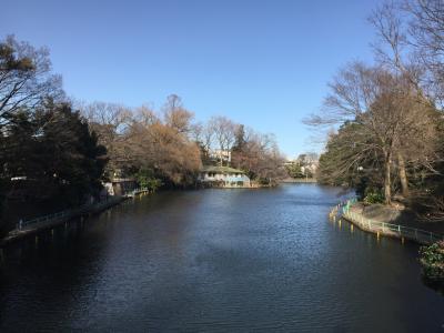春は花が綺麗です！