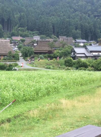 少々の雨も素敵な雰囲気