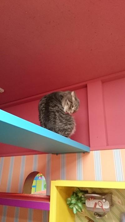 客層とお店のシステムに問題あり