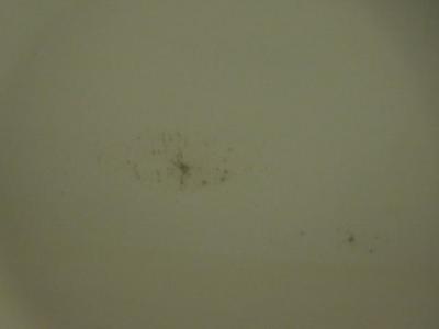 バスルームの天井にカビがありましたが、気にならない程度でした
