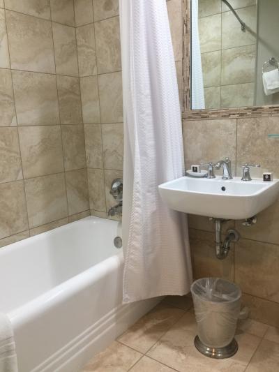 バスタブあり、シャワーの水量も申し分ない