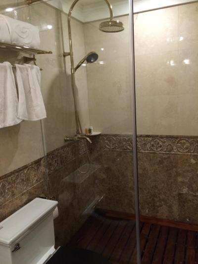 シャワーのみ　バスタブ無し　