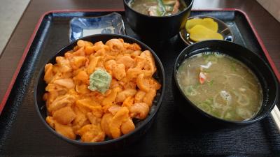 浜の母さん食堂のバフンウニ丼(赤ウニ)おいしかった♪