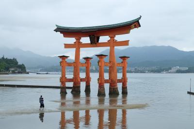 荘厳で神秘的な神社