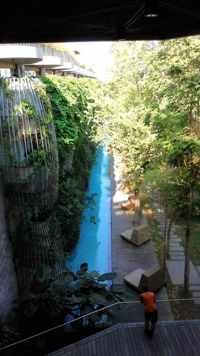 ロビーからプールの眺め