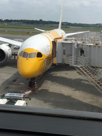 思ったより広い