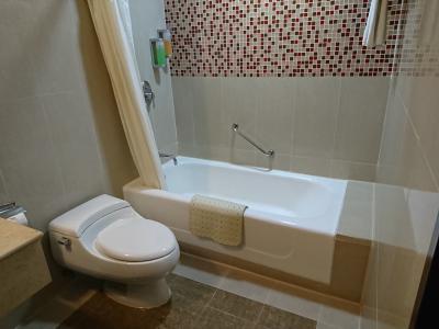 勿論、シャワーは上に設置されています。ただし動きません。