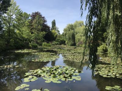 事前予約もあるようです